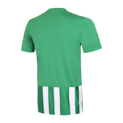 Adidas - Maillot football Homme Striped 21 Vert et blanc